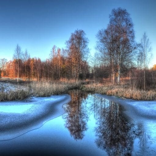 Frozen pond
