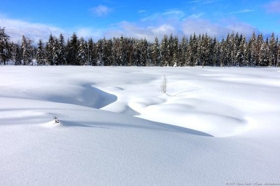 Merkdammen Vinter #6
