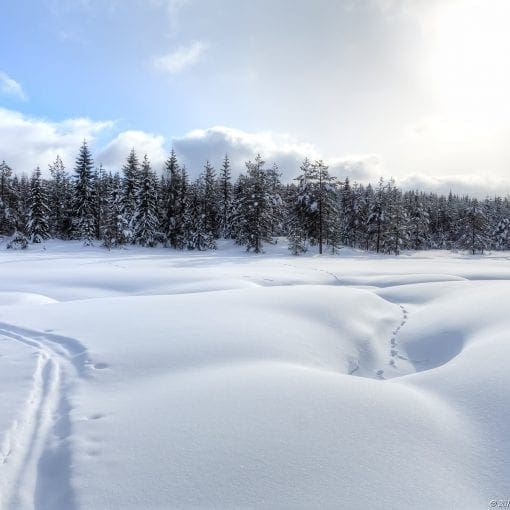 Merkdammen Vinter #2